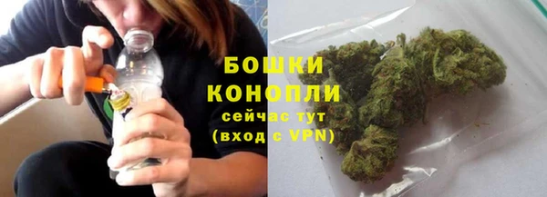 мдпв Кукмор