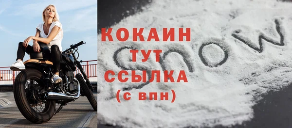 мдпв Кукмор