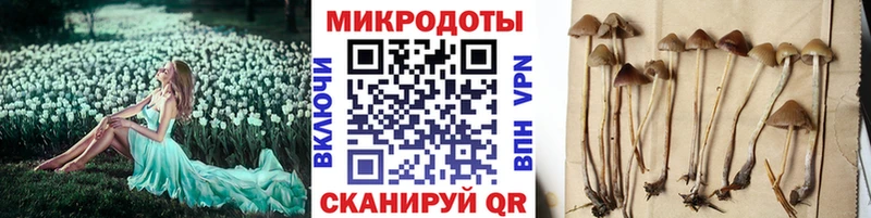 Купить закладки  Нижняя Салда  Галлюциногенные грибы ЛСД 